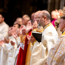 Göttliche Liturgie Stephansdom
