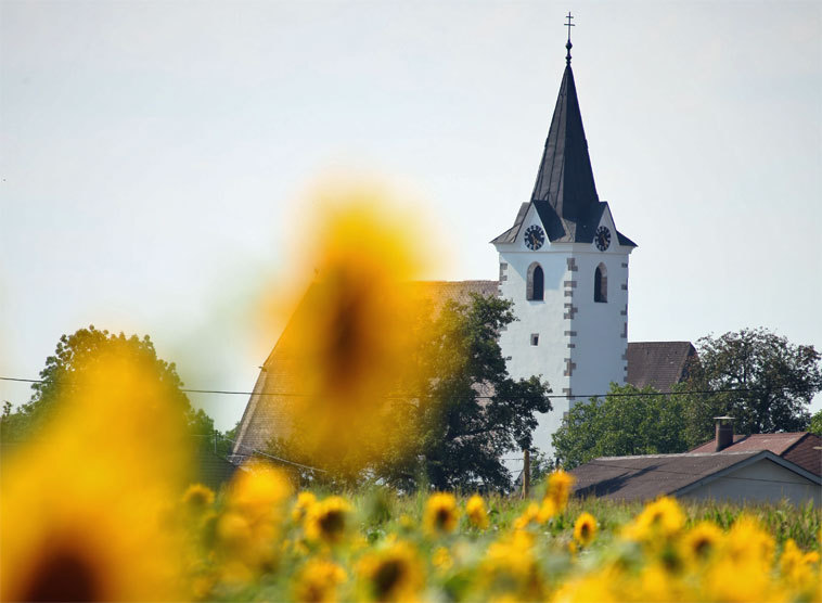 Sommertagung